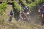 23° Mionetto Trophy